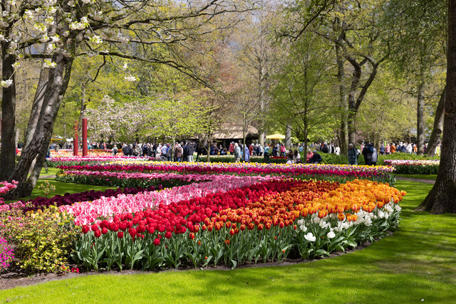 Amsterdam mama 2026-4738.jpg